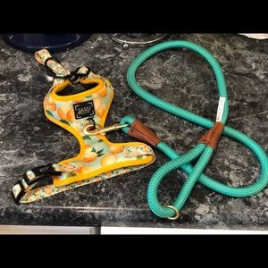 Brand new Small animal harness and leash combo ✨